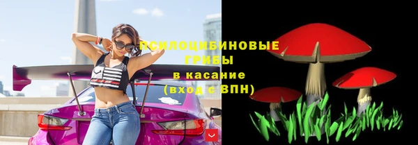 твердый Алексеевка