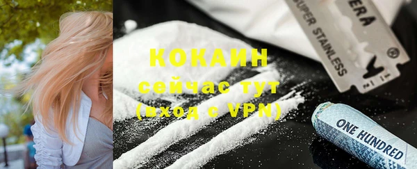 соль ск Алзамай