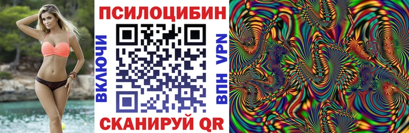 Галлюциногенные грибы Psilocybe  блэк спрут ССЫЛКА  Кыштым 